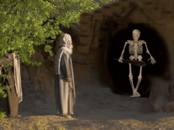 Their eyewitness protection&nbsp;program?